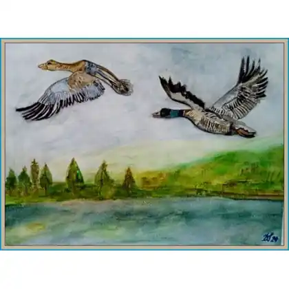 Kaczki, akwarela / 240x320 mm/ Wyprzedaż