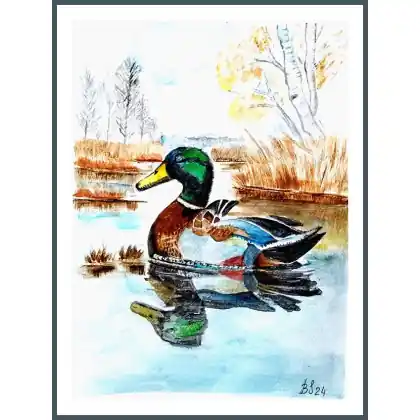 Kaczka /240x320 mm/ Niska cena