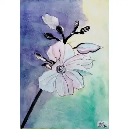 Wybór klientów Kwiat jabłoni, akwarela . /240x320 mm/