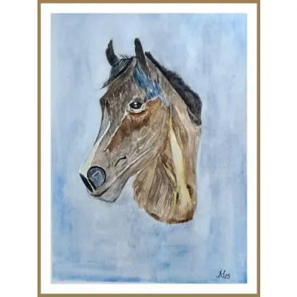 Dostępne od ręki Koń, akwarela. /240x320 mm/