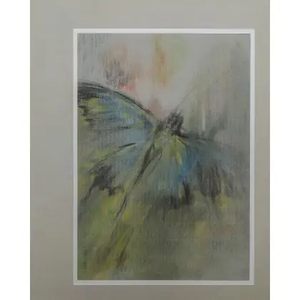 Motyl Kup teraz